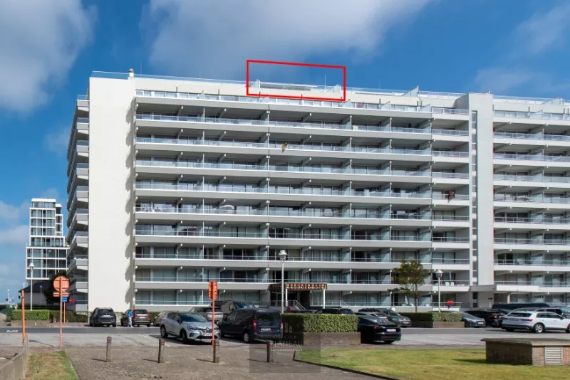 Studio sur le toit entièrement rénové et prêt à être emménagé, avec une grande terrasse ensoleillée et des vues magnifiques!