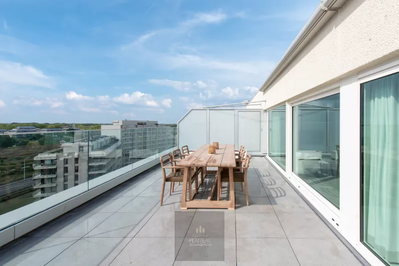 Studio sur le toit entièrement rénové et prêt à être emménagé, avec une grande terrasse ensoleillée et des vues magnifiques!