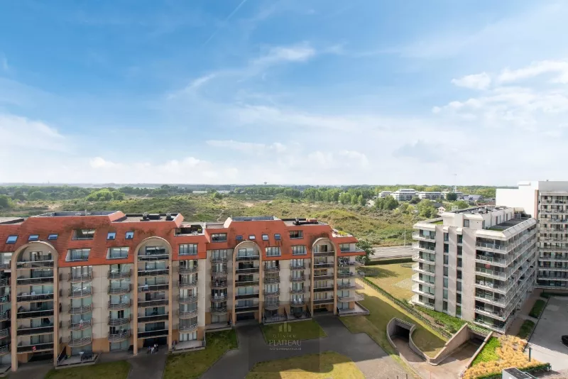 Studio sur le toit entièrement rénové et prêt à être emménagé, avec une grande terrasse ensoleillée et des vues magnifiques!