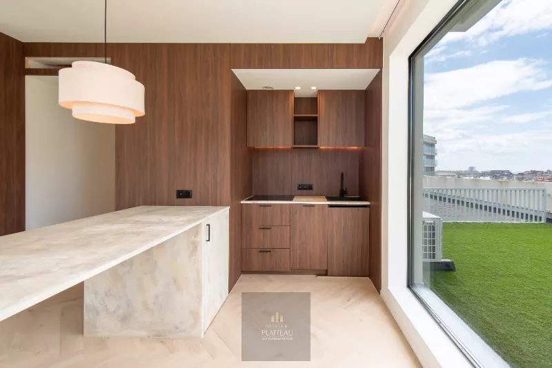 Appartement rénové avec très grande terrasse sur le toit.