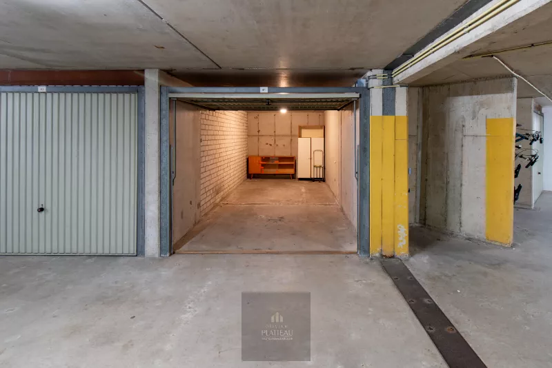 Appartement rénové avec très grande terrasse sur le toit.