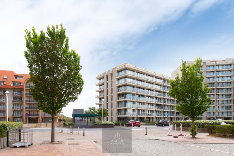 Appartement rénové avec très grande terrasse sur le toit.