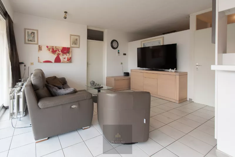 Appartement ensoleillé avec une chambre et un coin nuit.