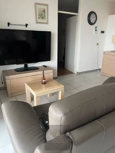 Appartement ensoleillé avec une chambre et un coin nuit.