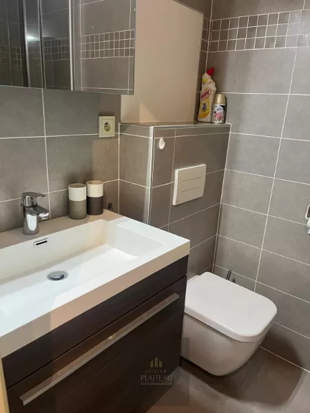 Appartement ensoleillé avec une chambre et un coin nuit.