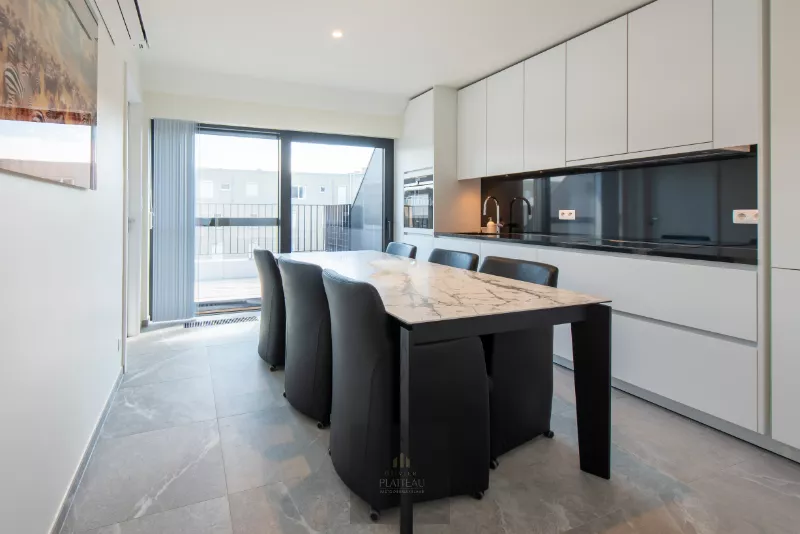 Ready-to-move-in, recently built luxury duplex apartment with 2 terraces in the Lectus IX residence.