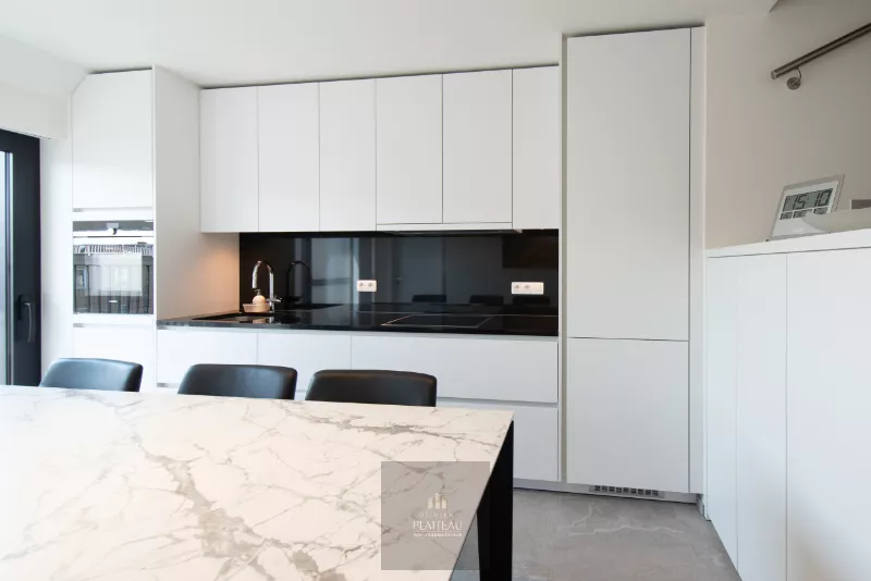 Ready-to-move-in, recently built luxury duplex apartment with 2 terraces in the Lectus IX residence.