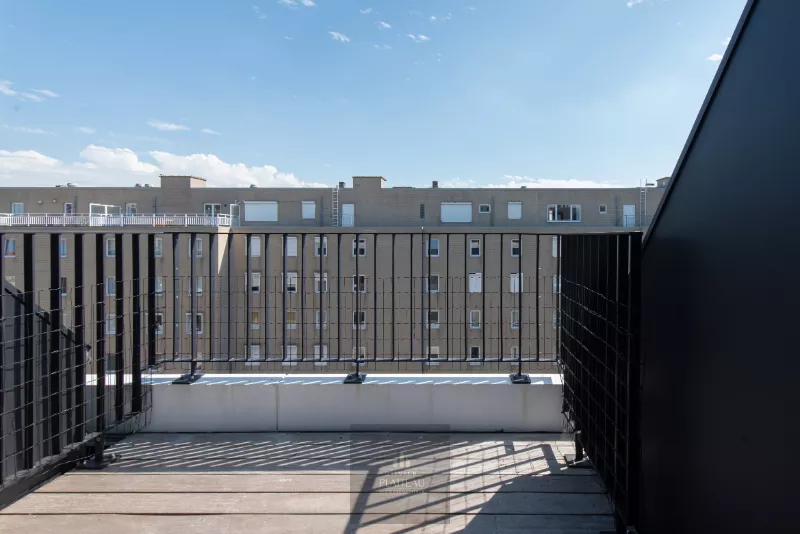 Ready-to-move-in, recently built luxury duplex apartment with 2 terraces in the Lectus IX residence.